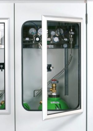 Outdoor Secure Gas Cabinet - 2 x 50L